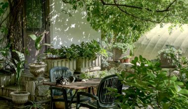 brown wooden table and chairs