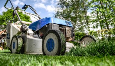 Een nette tuin met wintergroene bodembedekkers en vaste planten die weinig onderhoud vragen