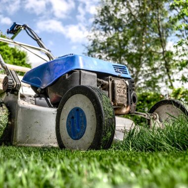 Een nette tuin met wintergroene bodembedekkers en vaste planten die weinig onderhoud vragen