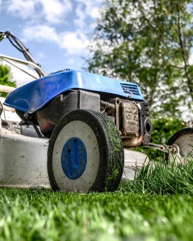 Een nette tuin met wintergroene bodembedekkers en vaste planten die weinig onderhoud vragen