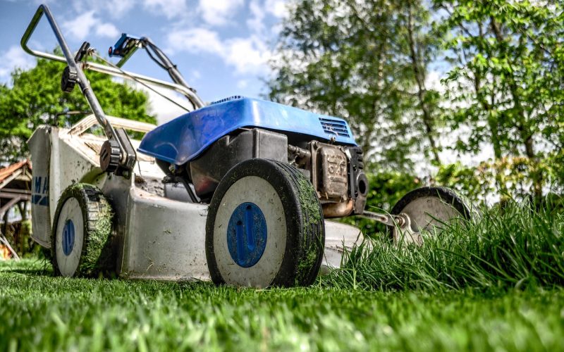 Een nette tuin met wintergroene bodembedekkers en vaste planten die weinig onderhoud vragen