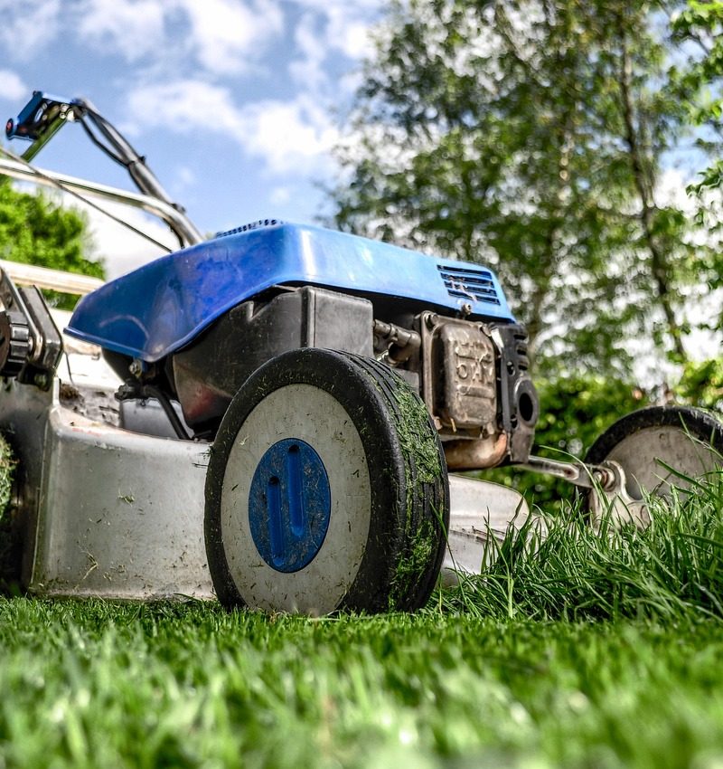Een nette tuin met wintergroene bodembedekkers en vaste planten die weinig onderhoud vragen