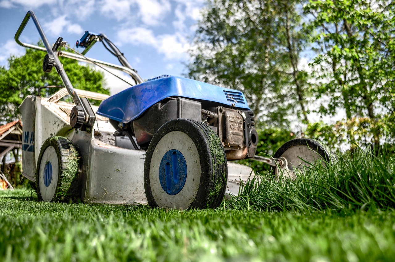 Een nette tuin met wintergroene bodembedekkers en vaste planten die weinig onderhoud vragen