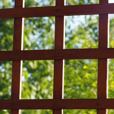 Een tuin met een houten overkapping en een aluminium overkapping naast elkaar