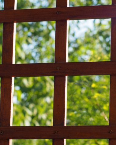 Een tuin met een houten overkapping en een aluminium overkapping naast elkaar