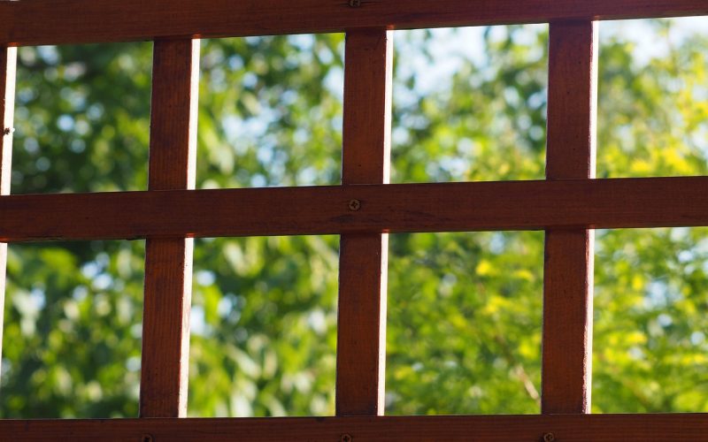 Een tuin met een houten overkapping en een aluminium overkapping naast elkaar