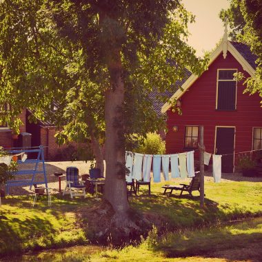 Ligbedkussens rechtop geplaatst in een tuin om te drogen aan het einde van het buitenseizoen