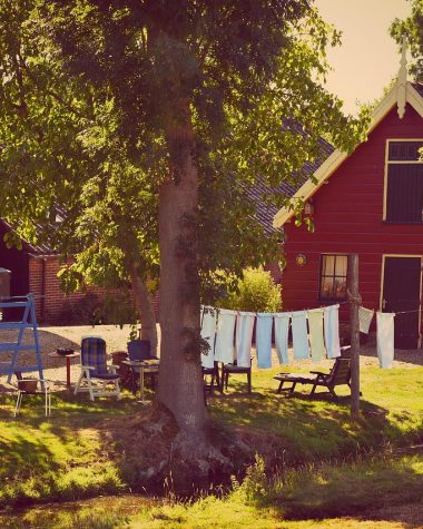 Ligbedkussens rechtop geplaatst in een tuin om te drogen aan het einde van het buitenseizoen