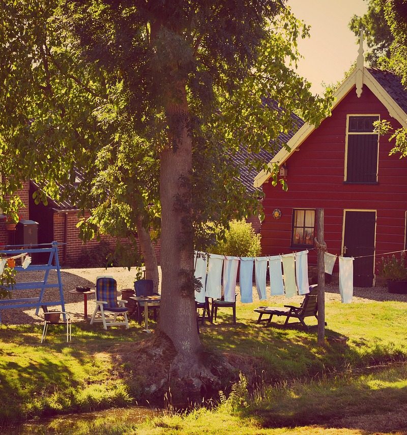 Ligbedkussens rechtop geplaatst in een tuin om te drogen aan het einde van het buitenseizoen
