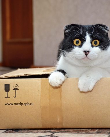 Kattenbak gevuld met silicagel kristallen naast een zak kattenbakvulling