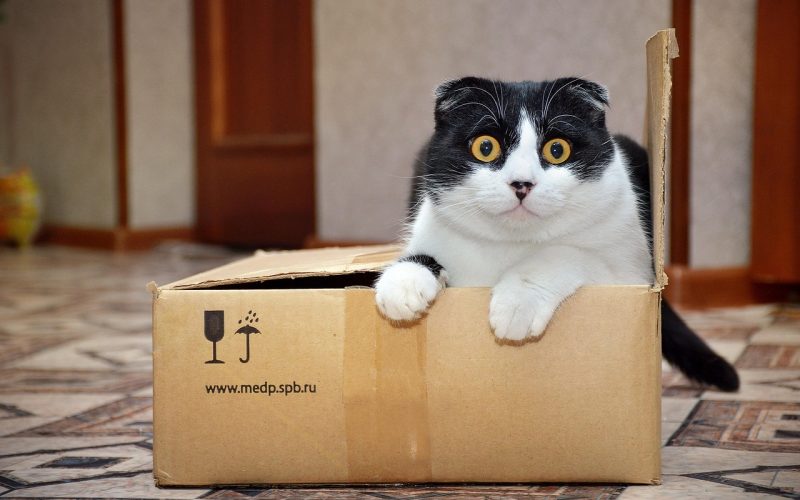 Kattenbak gevuld met silicagel kristallen naast een zak kattenbakvulling