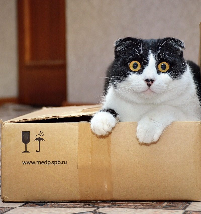 Kattenbak gevuld met silicagel kristallen naast een zak kattenbakvulling