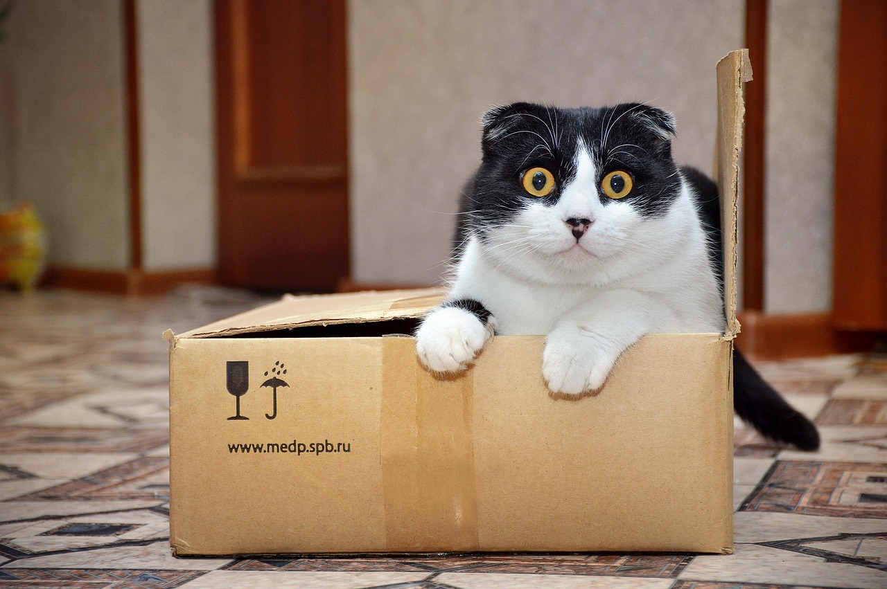 Kattenbak gevuld met silicagel kristallen naast een zak kattenbakvulling